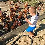 Farm stay Nad Jeziorem Silickim Ilinscy *
