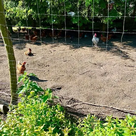 Nad Jeziorem Silickim Ilinscy Agroturismo