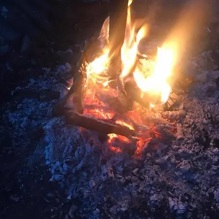 Nad Jeziorem Silickim Ilinscy