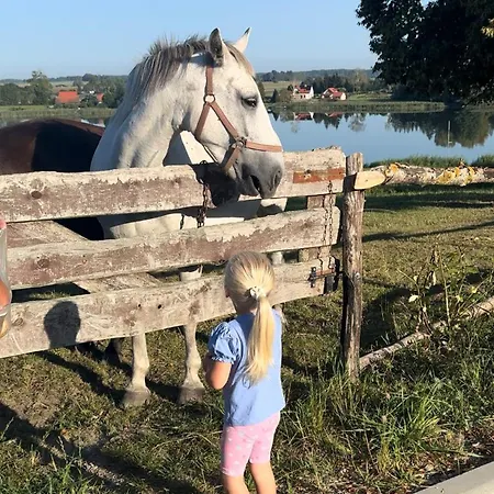 Farm stay Nad Jeziorem Silickim Ilinscy *