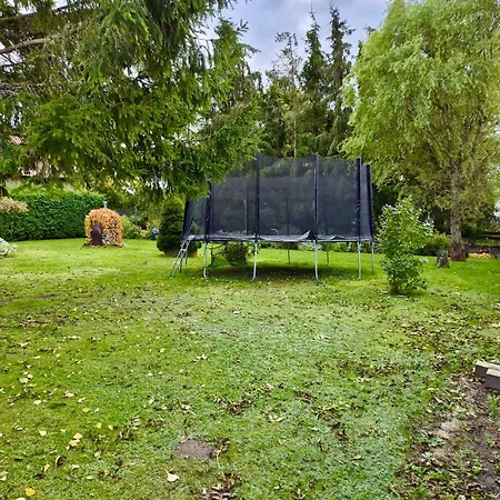 Nad Jeziorem Silickim Ilinscy *