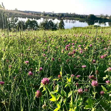 Nad Jeziorem Silickim Ilinscy Alloggio per agriturismo