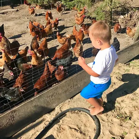 Farm stay Nad Jeziorem Silickim Ilinscy *