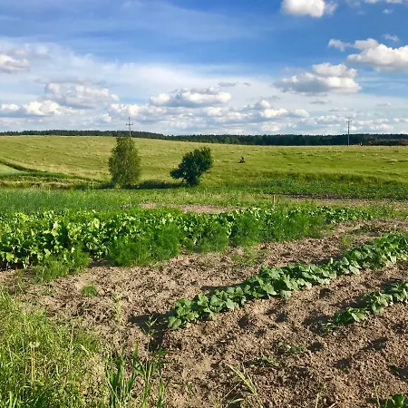 Nad Jeziorem Silickim Ilińscy Gospodarstwo agroturystyczne