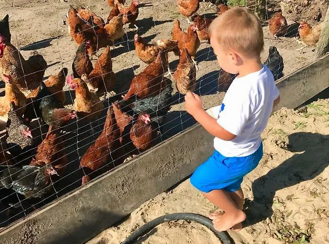 农家乐 Nad Jeziorem Silickim Ilinscy *